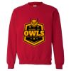 Customer Supplied Crewneck Sweatshirt Thumbnail