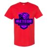 $7.99 PROMO T-SHIRT / 1 per customer Thumbnail